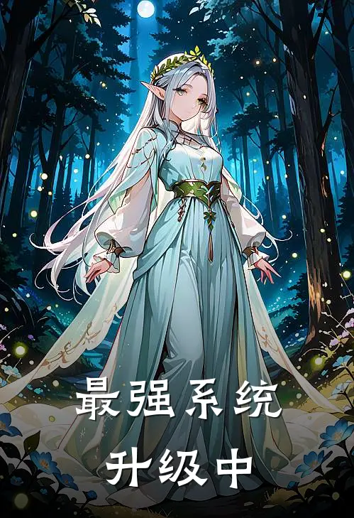 最强系统升级中