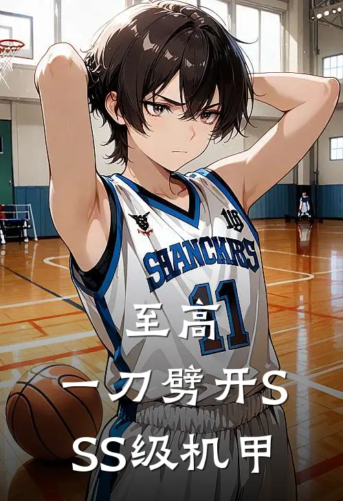 至高：一刀劈开SSS级机甲