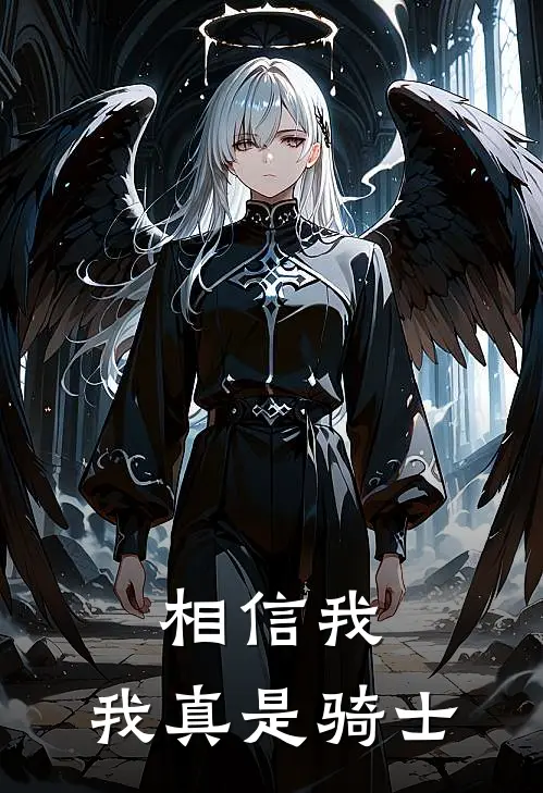 相信我，我真是骑士